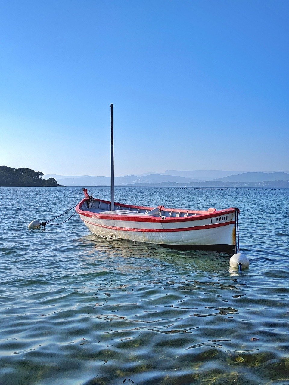 zzz, goa, hjk, goa, goa, goa, goa, goa