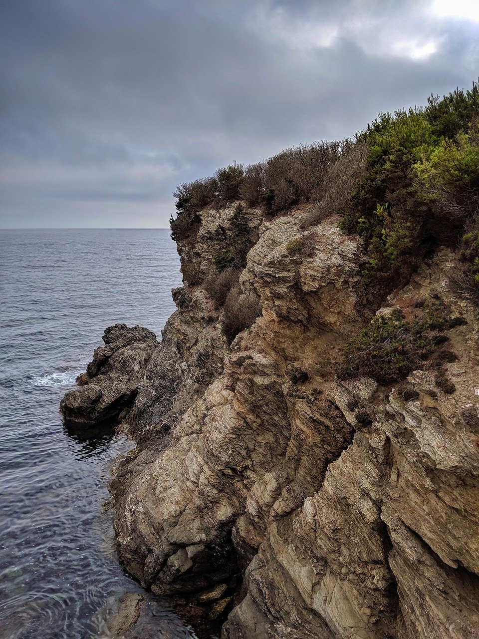 zzz, goa, hjk, goa, goa, goa, goa, goa